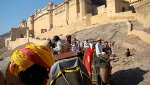 amber-fort-2