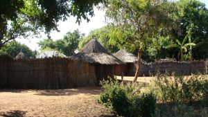 mukuni-village-zambia