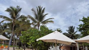 blue-bay-6