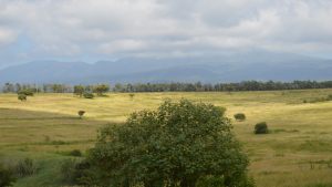 farmhouse-view
