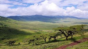 landscape-4