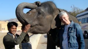 baby-elephant