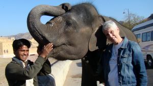 jaipur-baby-elephant