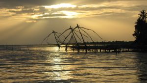 like-fishing