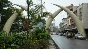 mombasa-aluminum-tusks