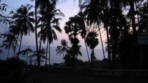 paradise
