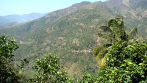 road-to-thekkady