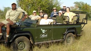 safari