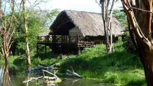 tent-in-tsavo