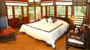 treehouse-interior