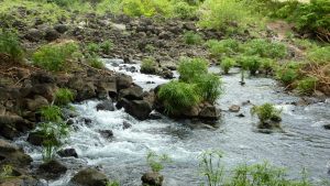 tsavo-mzima-springs