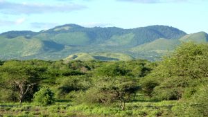 tsavo-national-park